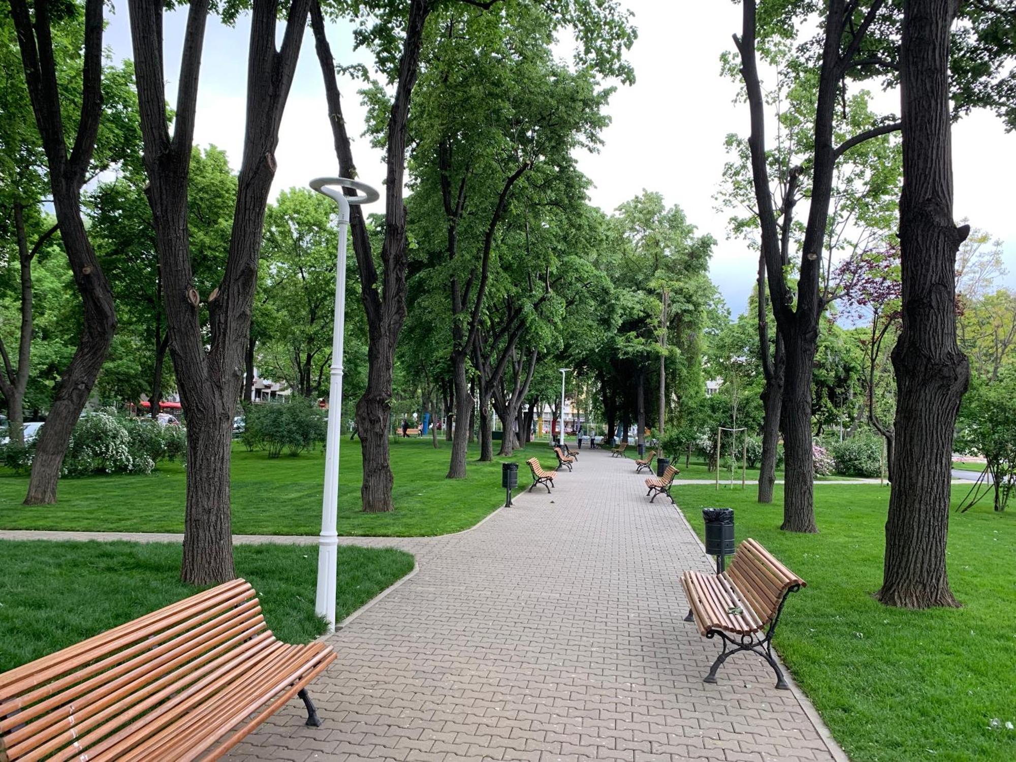 Floreasca Apartment Bach Bucureşti Eksteriør bilde